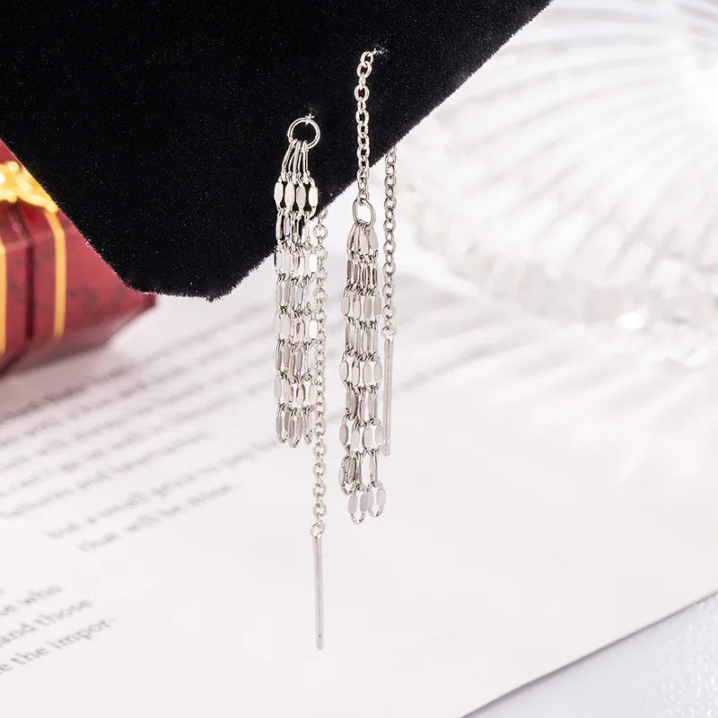 The exquisite fringed earrings are luxurious accessories for women when they attend formal gatherings or weddings.